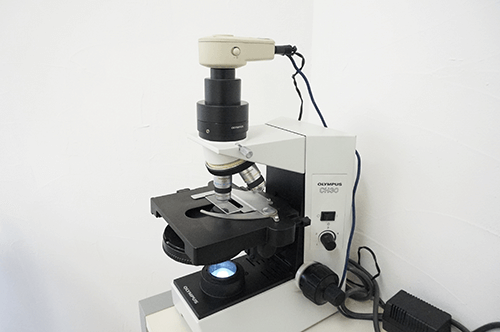 電子顕微鏡